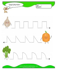 Çizgi Çalışma Sayfaları